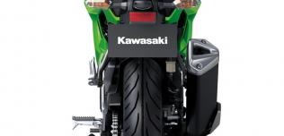 2015 Kawasaki Z250SL